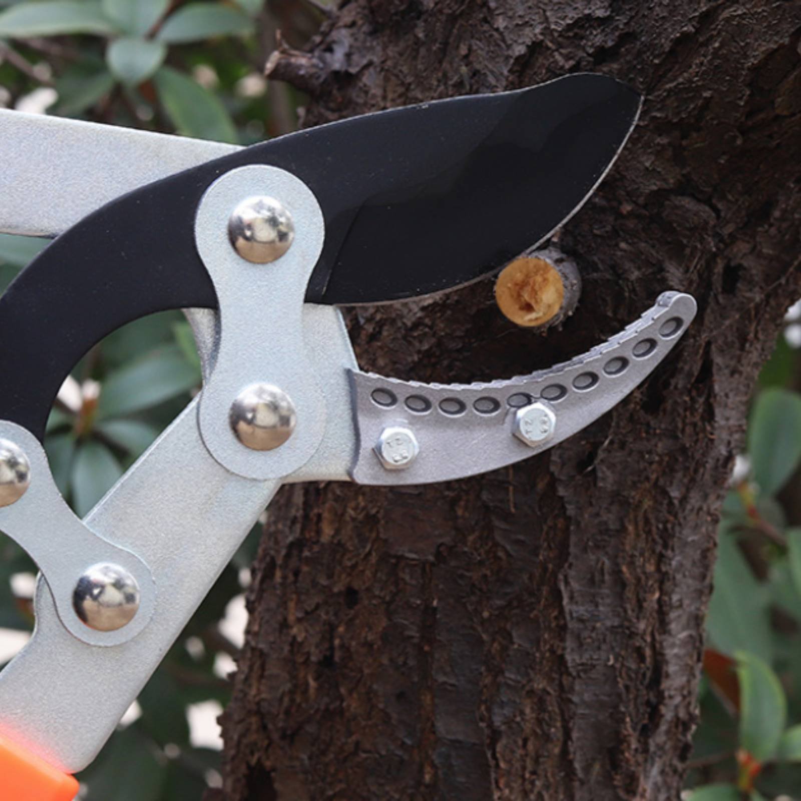 Telescopic Branch Pruners Shar - Garden Tools recension och pris